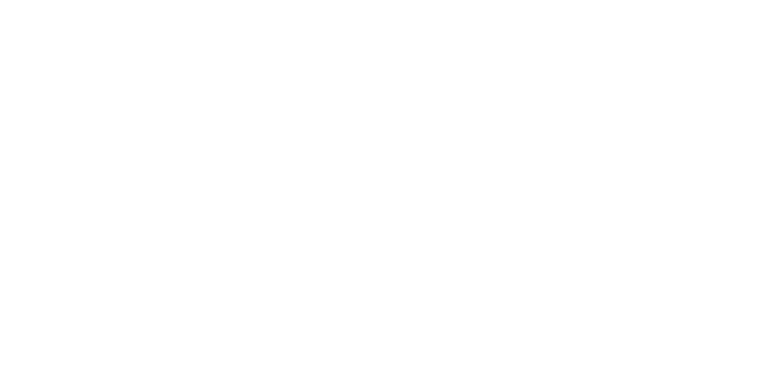 Roopy Studio-1 (1)